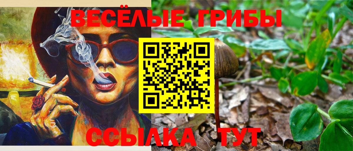 Псилоцибиновые грибы мухоморы Новозыбков