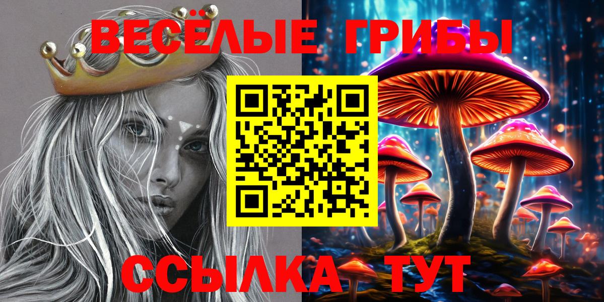 Псилоцибиновые грибы Magic Shrooms  Вход с VPN  Новозыбков 